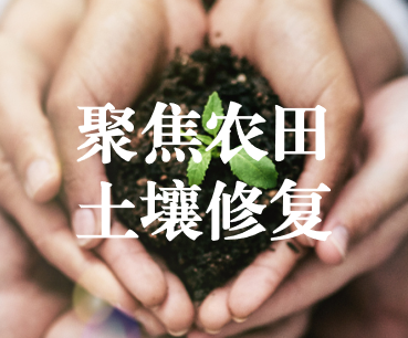 聚焦農(nóng)田土壤修復，保障糧食產(chǎn)品安全 ——踔厲奮發(fā)、篤行不怠，以奮斗之姿獻禮黨的二十大