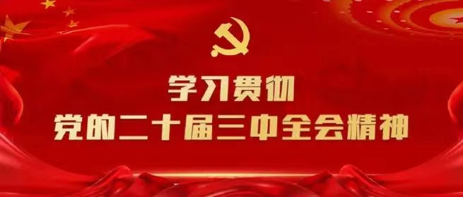 學習會議精神，貫徹落實工作 --川勘天晟源公司黨支部召開主題黨員大會
